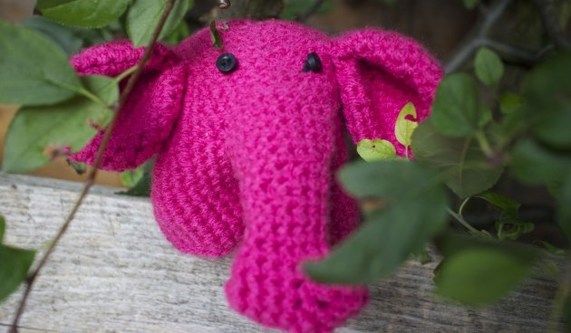 Roze olifantje geboren